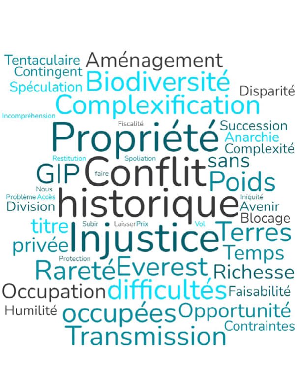 nuage de mots foncier