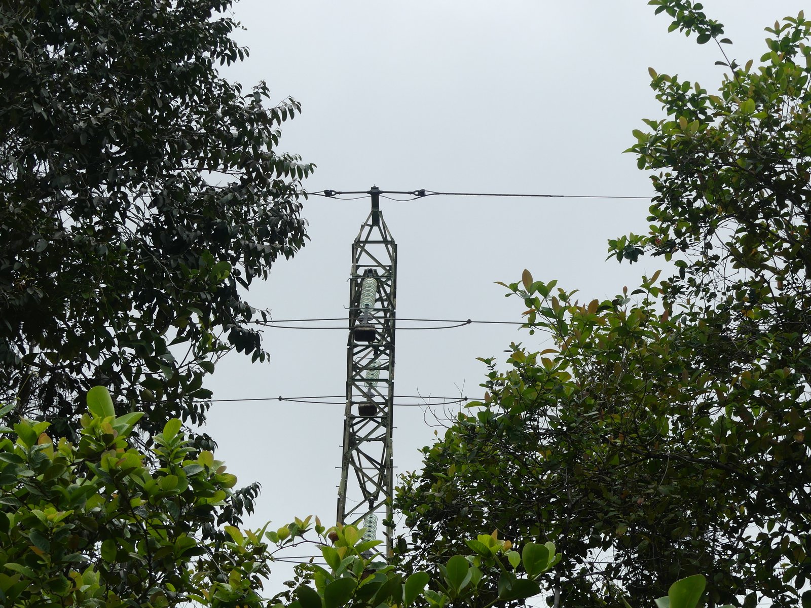 p1030441
